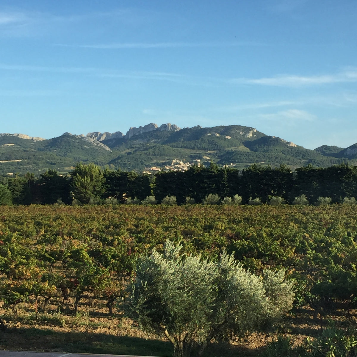 "Je mange chez le vigneron" | Découvrez notre auberge
