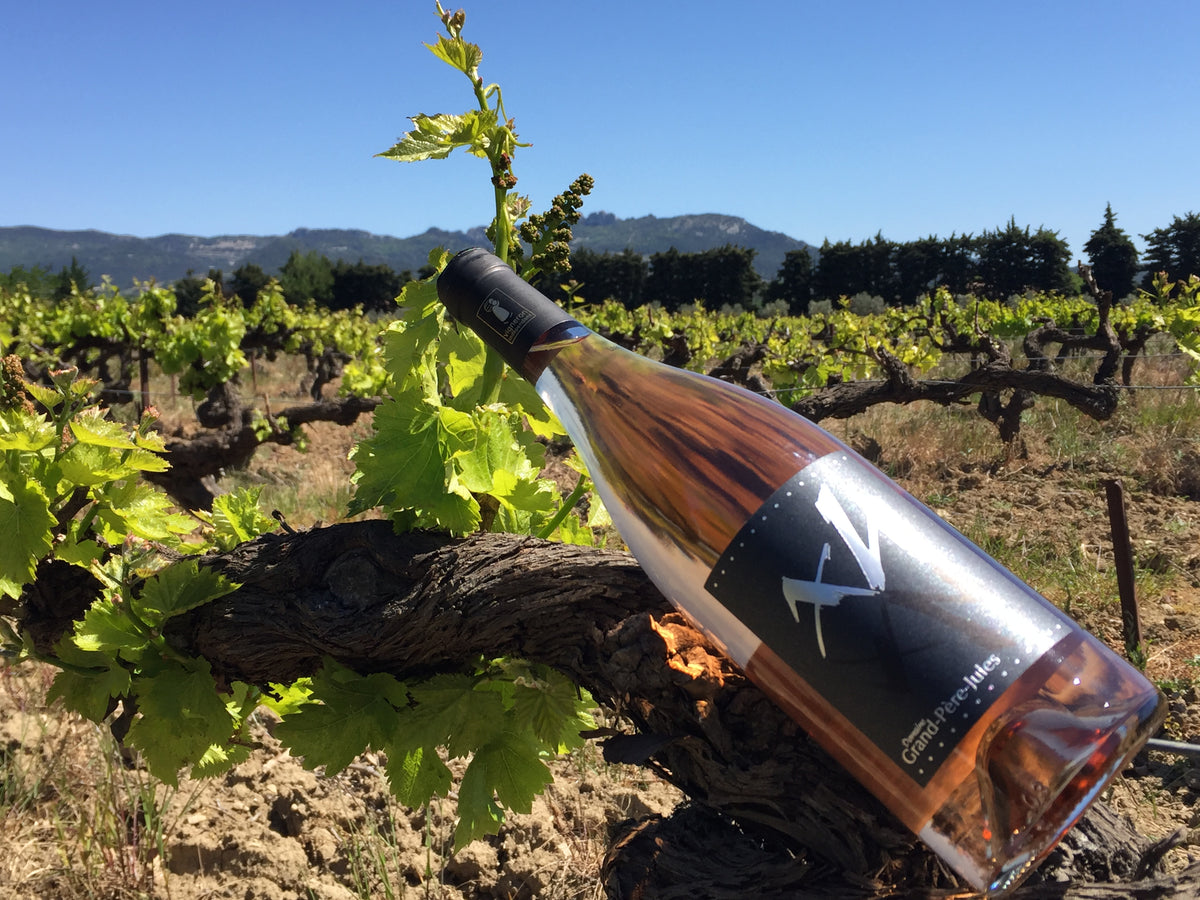Un domaine viticole bio, le B-A-BA