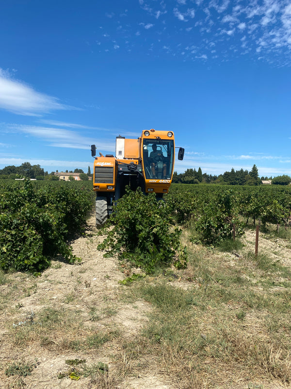 Le temps des vendanges... Bientôt le Millésime bio 2020 du Grand Père Jules 🍇
