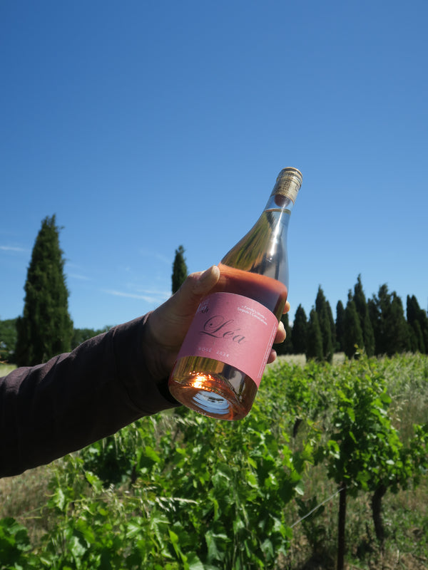 Côtes du Rhône