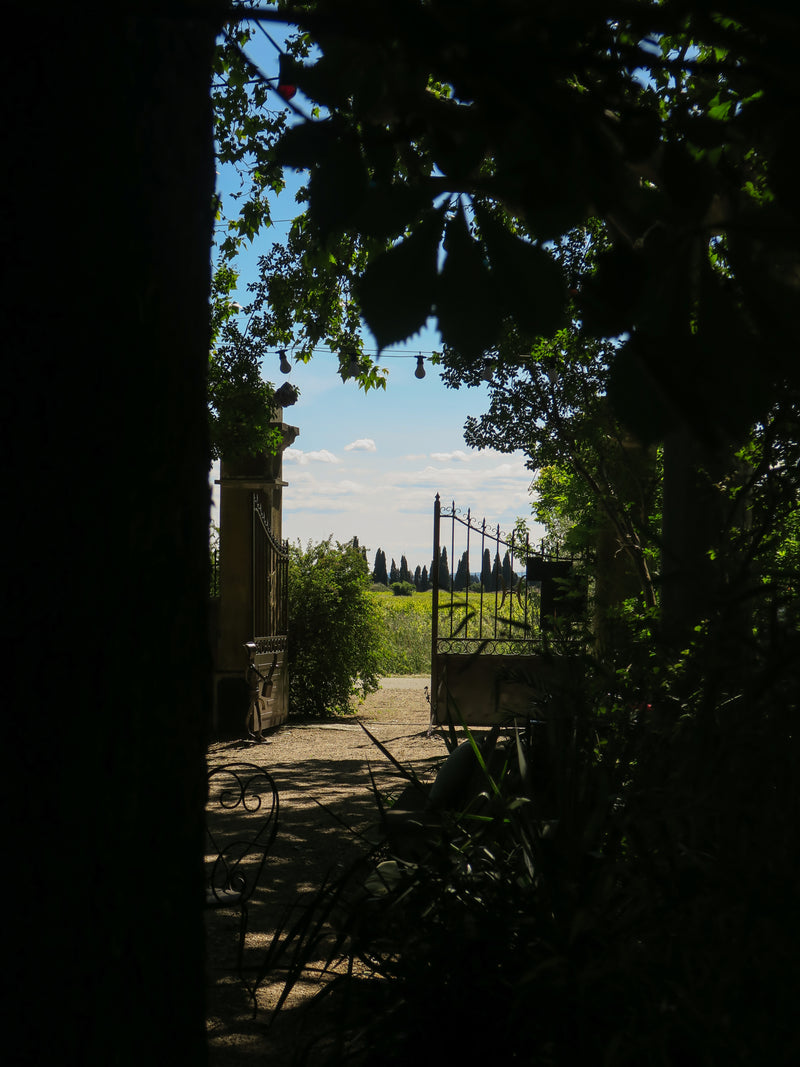 le jardin