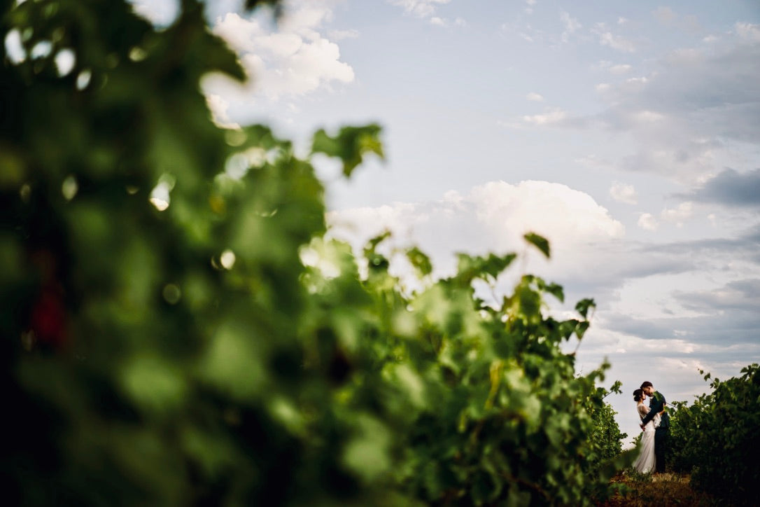 Votre mariageau domaine,en Vaucluse