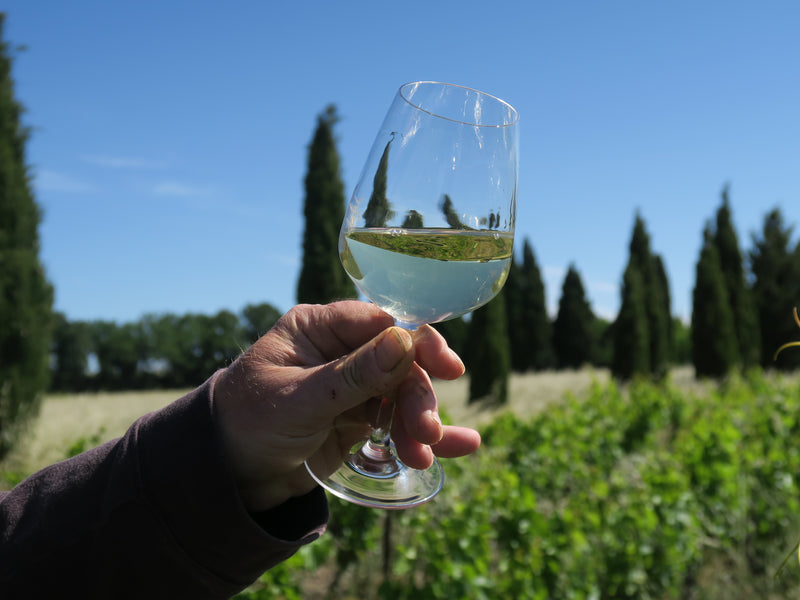 Les vins